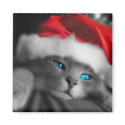Christmas Kitten Magnet by Jinksy Christmas Kitten Magnet