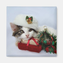 Christmas Kitten Magnet