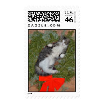 Christmas Kitten Stamps