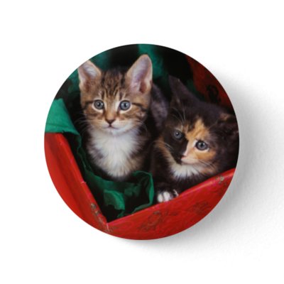 Christmas Kittens buttons