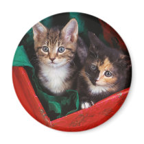 Christmas Kittens magnets by MuseMagic Christmas Kittens magnets