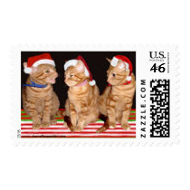 Christmas Kittens Postage Stamp