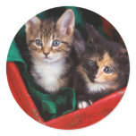 Christmas Kittens Sticker