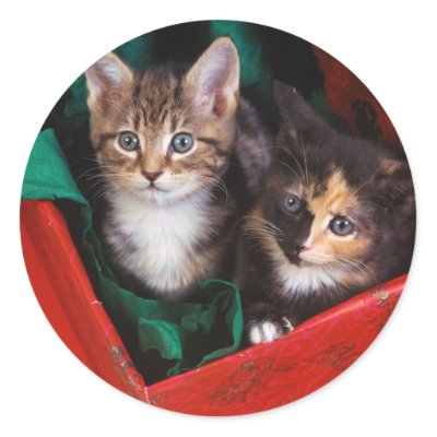 Christmas Kittens stickers