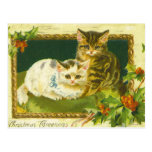 Christmas Kittens Vintage Postcard