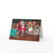 Christmas Kitties cards by mustangmel Christmas Kitties cards