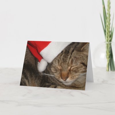 Christmas Kitty cards