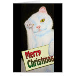 Christmas Kitty Cards