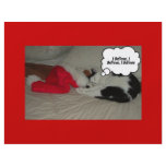 Christmas Kitty Cat Flyer