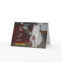 Christmas Kitty, P.K. Cards