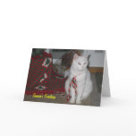 Christmas Kitty, P.K. cards