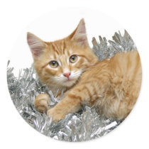 Christmas kitty sticker by deemac1 Christmas kitty sticker