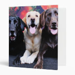 Christmas - Labrador - Dude Jag and Mocha Binders