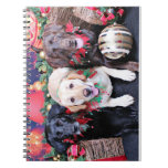Christmas - Labrador - Dude Jag and Mocha Note Book