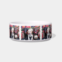 Christmas - Labrador - Dude Jag and Mocha Pet Bowls