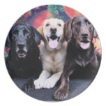 Christmas - Labrador - Dude Jag and Mocha Dinner Plates