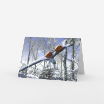 Christmas ladybirds card