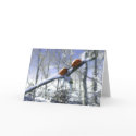 Christmas ladybirds cards