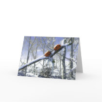 Christmas ladybirds cards