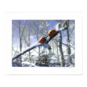 Christmas ladybirds posters
