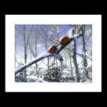 Christmas ladybirds posters