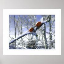 Christmas ladybirds posters