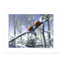 Christmas ladybirds posters