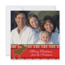 Christmas Letter on Back Moose Christmas Card Custom Invitations