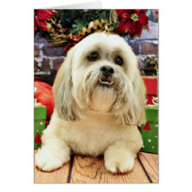 Christmas - Lhasa Apso - Solo Greeting Cards