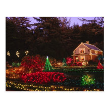 Christmas Lights Post Card