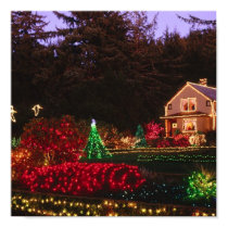 Christmas Lights posters
