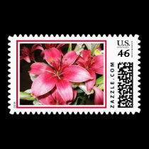Christmas Lilies postage by kokobaby Christmas Lilies postage