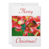 Christmas Lilies VI invitations by Yve_13 Christmas Lilies VI invitations