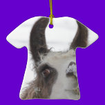 Christmas Llama with Snow on Nose for the Holidays ornaments