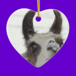 Christmas Llama with Snow on Nose for the Holidays ornaments