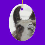 Christmas Llama with Snow on Nose for the Holidays ornaments