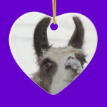 Christmas Llama with Snow on Nose for the Holidays ornaments