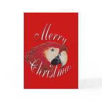 Christmas Macaw cards by kphotos Christmas Macaw cards