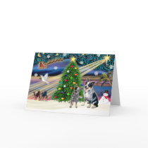 Christmas Magic Australian Cattle Dogs (two) cards by dogartchristmasgifts Christmas Magic Australian Cattle Dogs (two) cards