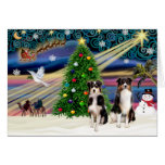 Christmas Magic Australian Shepherds (two, 6-7) Card