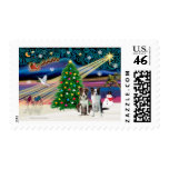 Christmas Magic Border Collies (two) postage