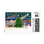 Christmas Magic Chinese Crested (Puff) postage