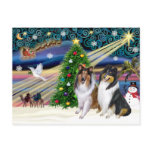 Christmas Magic Collies (two, tri   sable)