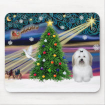Christmas Magic Coton De Tulear mousepads