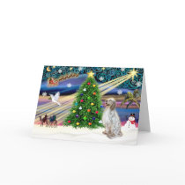 Christmas Magic English Setter cards by dogartchristmasgifts Christmas Magic English Setter cards