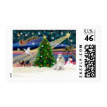 Christmas Magic Havanese (white) postage