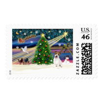 Christmas Magic Jack Russell Terrier Puppy postage