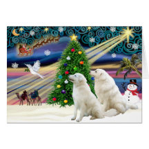 Christmas Magic Kuvasz (two) Greeting Cards