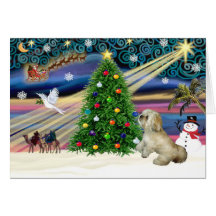 Christmas Magic Lhasa Apso 7 Cards