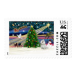 Christmas Magic Malt4ese 7- Postage